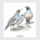 Recherche de wildlife party stickers Nature