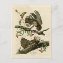 Search for chuck postcards Bird