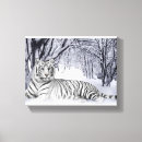 Recherche de tigre blanc art Peinture