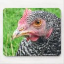 Search for chicken lover mousepads Hen