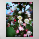 Search for cherry blossom posters Green