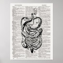 Recherche de médical art Vintage