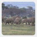 Recherche de habitat autocollants Animal
