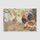 Search for chicken tissue paper Ephemera