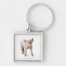 Search for looking up keychains Looking at camera