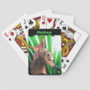 Recherche de donkey jeux de cartes Drôle