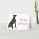 Search for great dane birthday cards Puppy