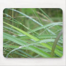 Recherche de nature tapis souris Flore