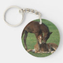 Search for morgan keychains Horse