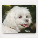Search for maltipoo electronics Pet
