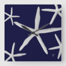 Recherche de poissons tropicaux horloges Côtier