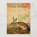 Search for rabbit painting postcards Vintage