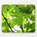 Search for maple leaves mousepads Photography