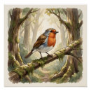 Recherche de rouge gorge posters Forêt
