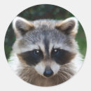 Search for wildlife stickers Wild animals