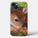 Search for resting ipad cases Cute
