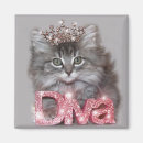 Search for diva square magnets Humour