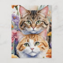 Search for cuddly postcards Feline