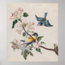 Search for two birds posters Flowers