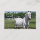 Recherche de chevaux arabes cartes visite Cheval