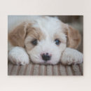 Recherche de animal bébé puzzles Chien
