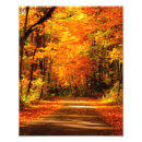 Search for autumn scene posters Leaves