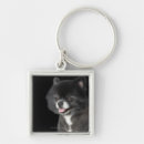 Search for pomeranian keychains Animal