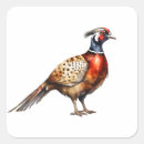 Recherche de joli oiseau autocollants Pour tous