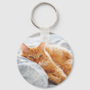 Search for fluffy kitten keychains Cute