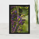 Search for grape cards Vine