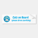 Search for road safety bumper stickers Drive