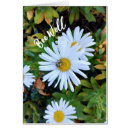 Search for bee image photography Floral
