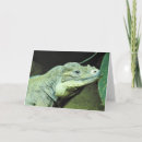 Search for iguanas cards Wildlife