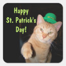 Search for leprechaun cat stickers St patricks day