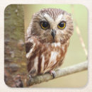 Recherche de hibou de dessous de verres Portrait