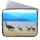 Search for canada goose electronics Animals