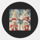 Recherche de républicains photographie Xmas