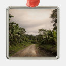 Search for remote ornaments Outdoors