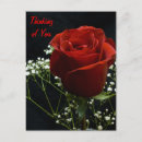Search for verticle Floral