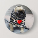 Recherche de pug accessories Chien