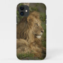 Search for african lion iphone cases Joe