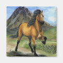 Search for buckskin magnets Equine