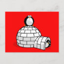 Search for igloo postcards Arctic