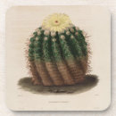 Search for cactus barware Vintage