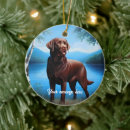 Search for lake ornaments Cute