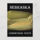 Search for cornhuskers Nebraska