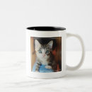 Search for adult baby mugs Cute