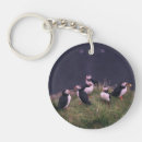 Search for puffin keychains Wildlife
