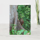 Search for tree huggers cards Nature