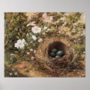 Search for bird life posters Flowers